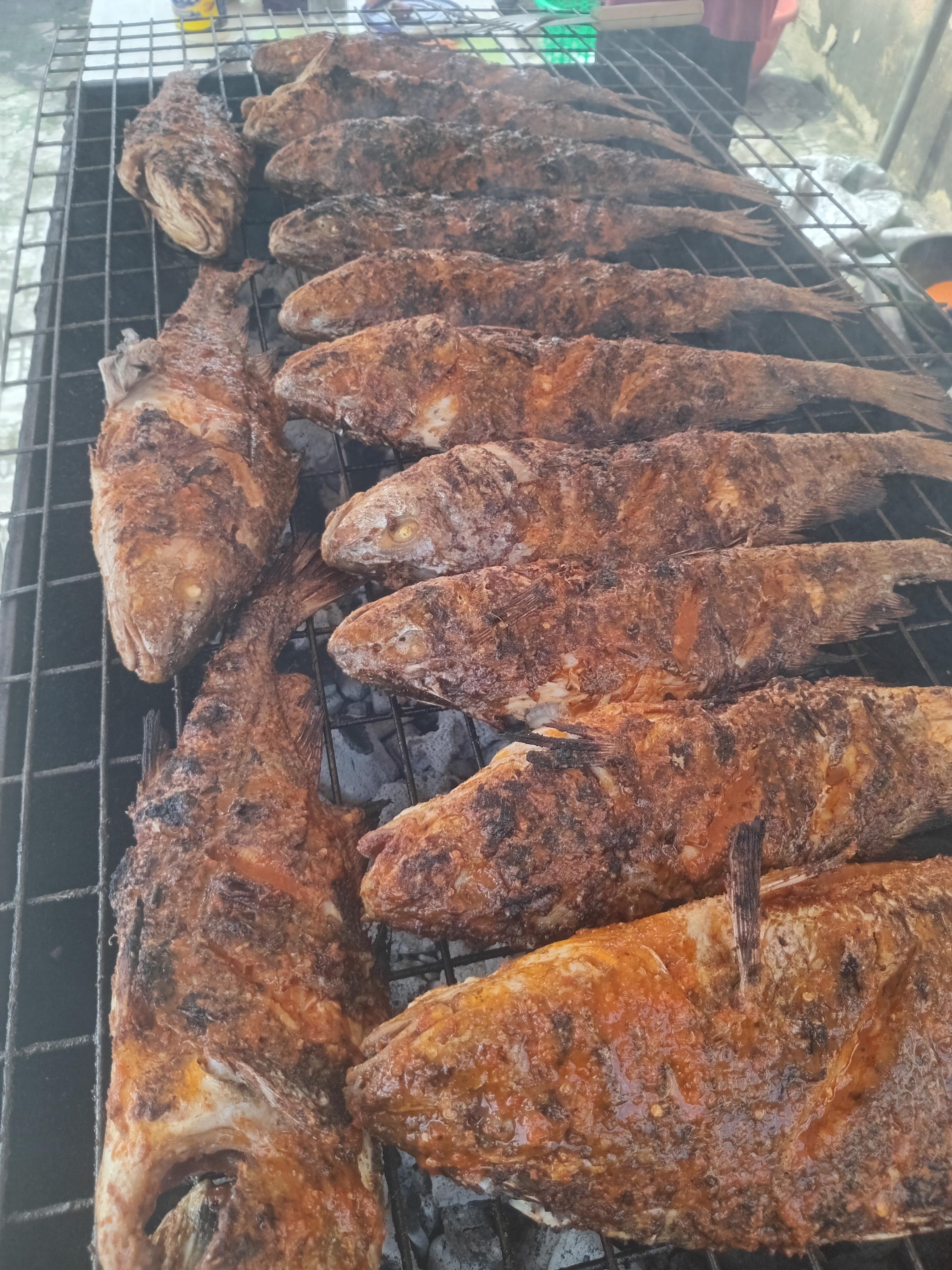 Ifedayo samuel (Ojota)