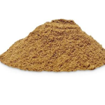 Ginger