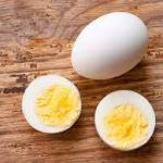 Egg